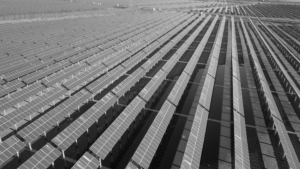 More Projects Coming Soon!